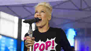 Pink gives away 2,000 banned books at Florida concerts