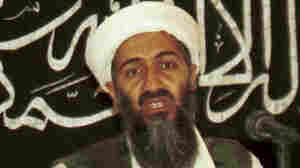 The story behind the Osama bin Laden videos on TikTok