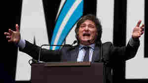 Javier Milei, a radical libertarian populist, elected president of Argentina