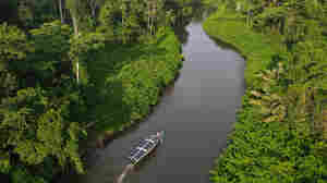 Why solar-powered canoes could be good for the future of the rainforest