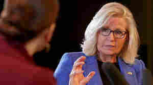 Democracy is at stake if Trump is reelected, Liz Cheney warns in her new book