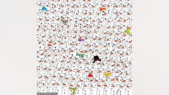 Photo hunt: How fast can you find the panda hidden in the snowmen?