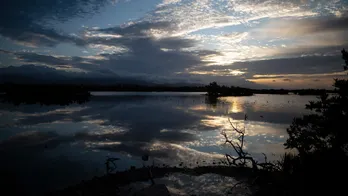 Feds indict 3 for illegal dumping on Puerto Rico wetlands