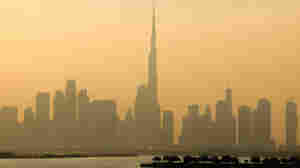 What it means for an oil producing country, the UAE, to host UN climate talks