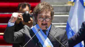 In first speech, Argentina's Javier Milei warns nation of painful economic shock