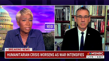 Israeli official shuts down Joy Reid grilling him on Gaza deaths: 'Be a little circumspect of those numbers'