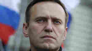 Missing Russian opposition leader Alexei Navalny is located in an Arctic penal colony