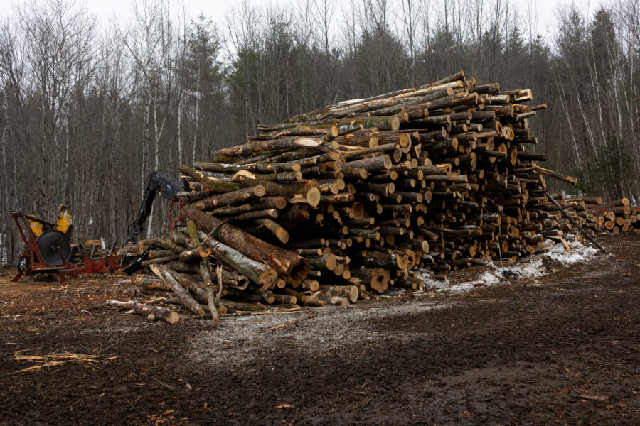 Biden Administration Takes Historic Step to Protect Old-Growth Forest