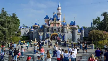 Disneyland chemical spill hospitalizes cast member