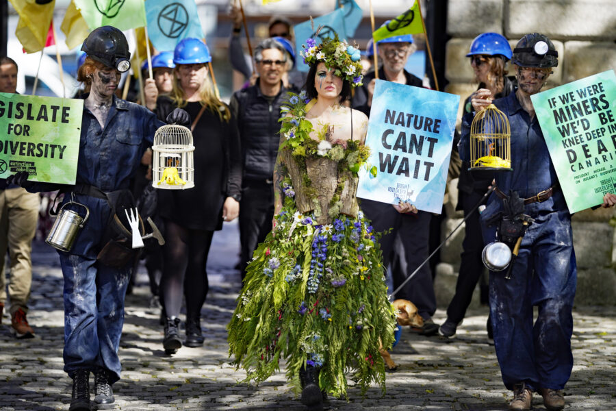 Ireland Could Become the Next Nation to Recognize the Rights of Nature and a Human Right to a Clean Environment