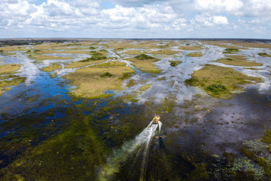 Judge Orders Jail Time For Prominent Everglades Scientist