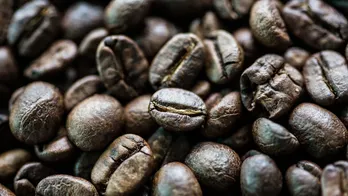 Uncovering the world's most expensive coffee beans