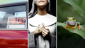 America's oddest laws include bans against dressing as nuns, eating frogs and feeding alligators