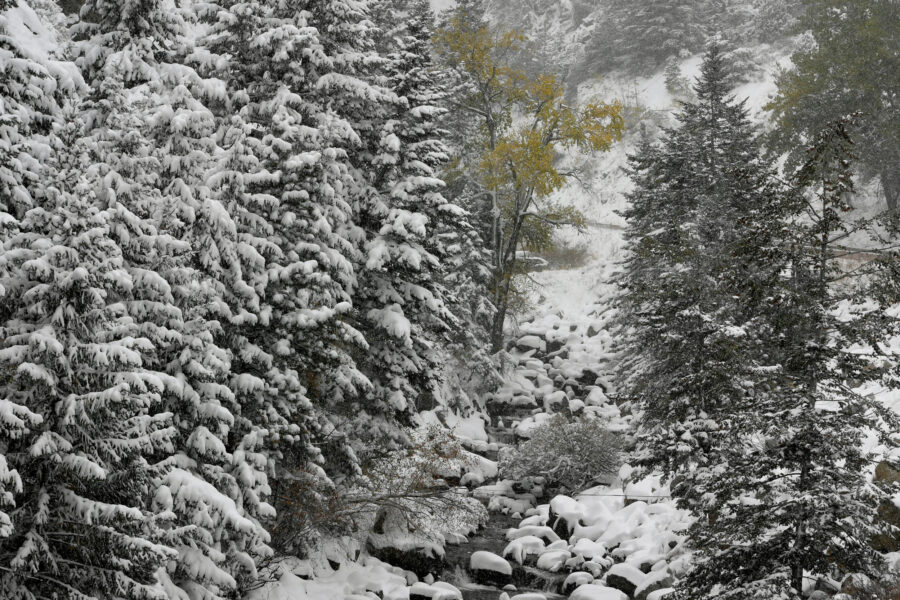 Colorado Town Appoints Legal Guardians to Implement the Rights of a Creek and a Watershed