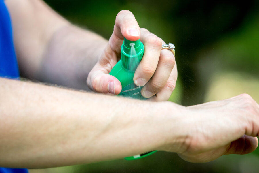 A New Study Suggests the Insect Repellent DEET Might Affect Reproductive Systems