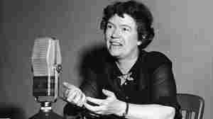 How Margaret Mead's research into utopias helped usher in the psychedelic era