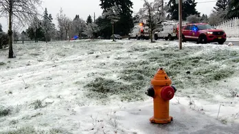 3 dead in Oregon after reportedly being electrocuted after power line falls on car during ice storm