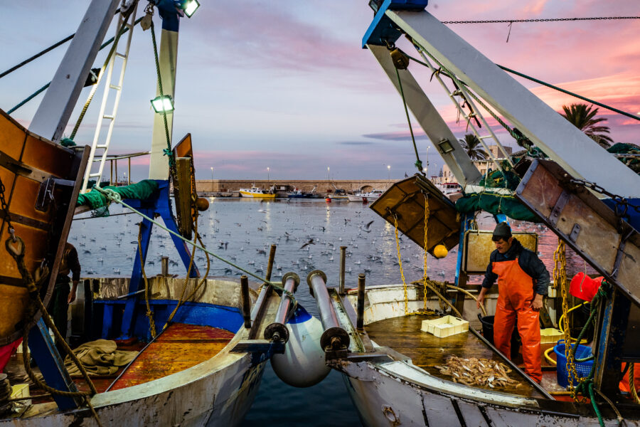 A Common Fishing Practice Called Bottom Trawling Releases Significant Amounts of CO2 Into Earth’s Atmosphere