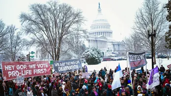 'Full flourishing of mom and baby': Pro-life advocates reveal the movement's goals in a post-Dobbs world