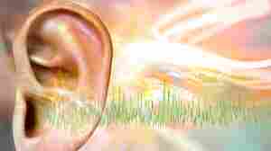 Gene therapy shows promise for an inherited form of deafness