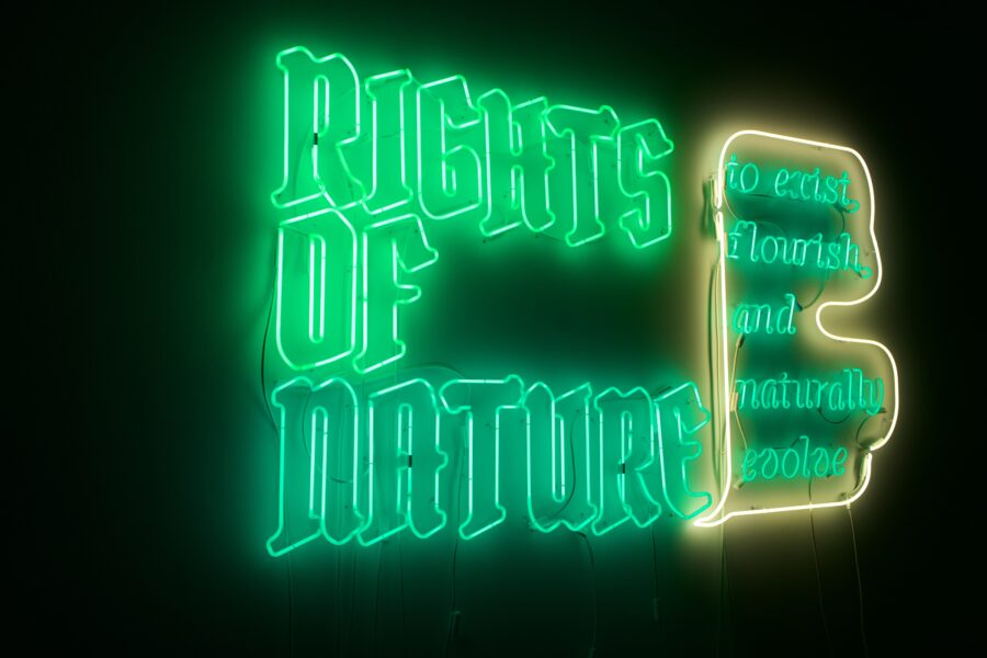 Fighting for a Foothold in American Law, the Rights of Nature Movement Finds New Possibilities in a Change of Venue: the Arts