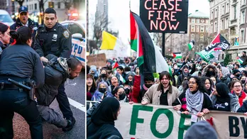 Anti-Israel protesters clash with NYPD officers in fiery scuffle that led to arrests: 'NYPD, burn in hell'