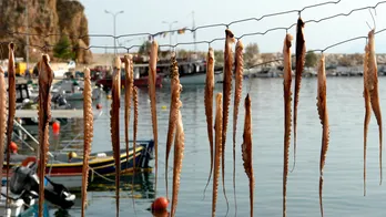 Explore Greek cuisine: Diverse flavors, rich history, and fresh ingredients