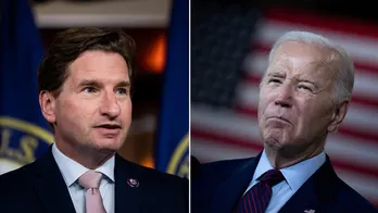 Biden challenger Dean Phillips says everyone can see president's 'decline' after special counsel report