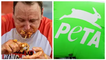 PETA Doesn't Want You To Eat Wings During The Super Bowl