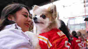 Will the Chiefs or the 49ers win the Super Bowl? The animal kingdom weighs in