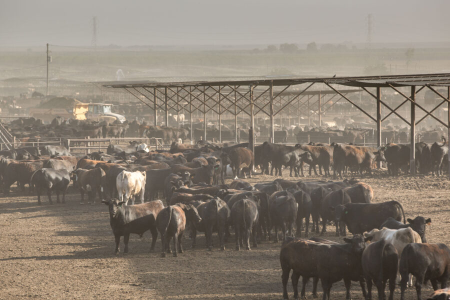 As the Number of American Farms and Farmers Declines, Agriculture Secretary Urges Climate Action to Reverse the Trend