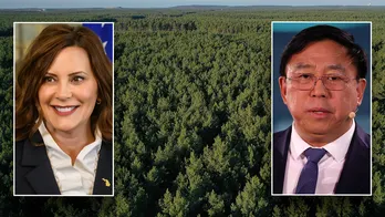 Dem-backed Chinese firm razing trees in Michigan to make way for EV plant