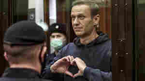 Photos: See Russian anti-corruption leader Alexei Navalny's life in pictures