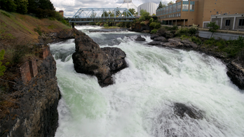 Thousands of fish found dead in Spokane River. No one knows why