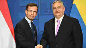 Hungary approved Sweden's bid to join NATO, the final hurdle to membership