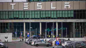 Tesla evacuates its Germany plant. Musk blames 'eco-terrorists' for suspected arson