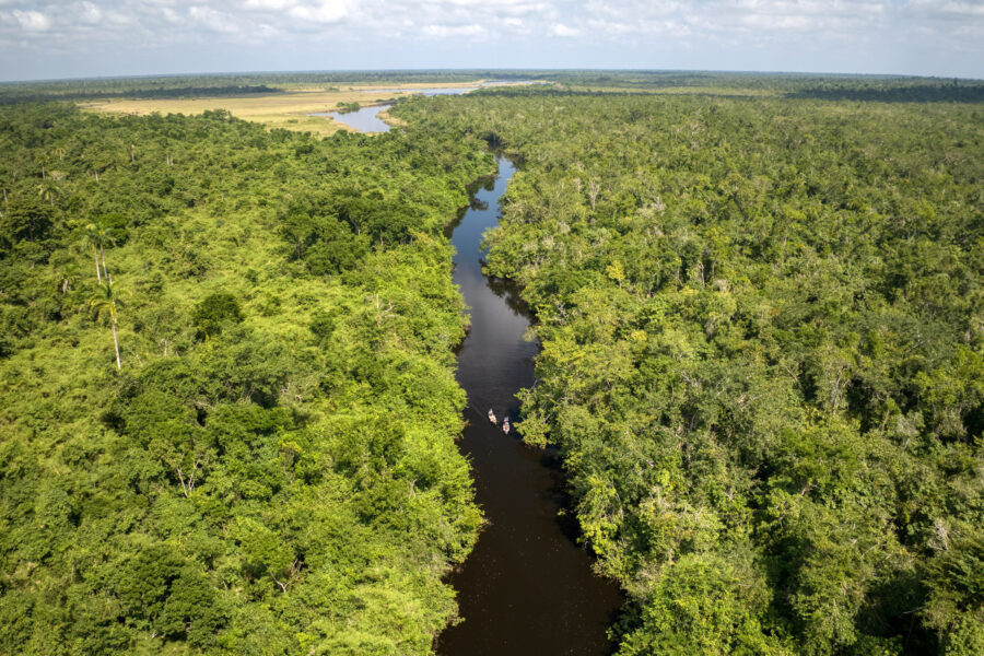 Can Carbon Offsets Save a Fragile Band of Belize’s Tropical Rainforest?