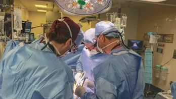 Massachusetts man receives successful pig kidney transplant: ‘Uncharted territory’