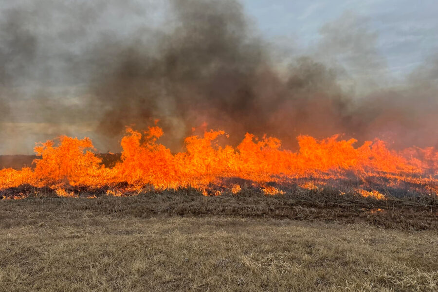 From Michigan to Nebraska, Midwest States Face an Early Wildfire Season