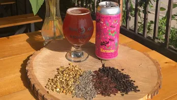 Easy-drinking herbal beer gruit inspired by era when ale was aphrodisiac, medicine, hallucinogen