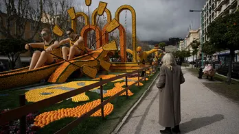 France's annual lemon festival struggles with scarcity of prized crop