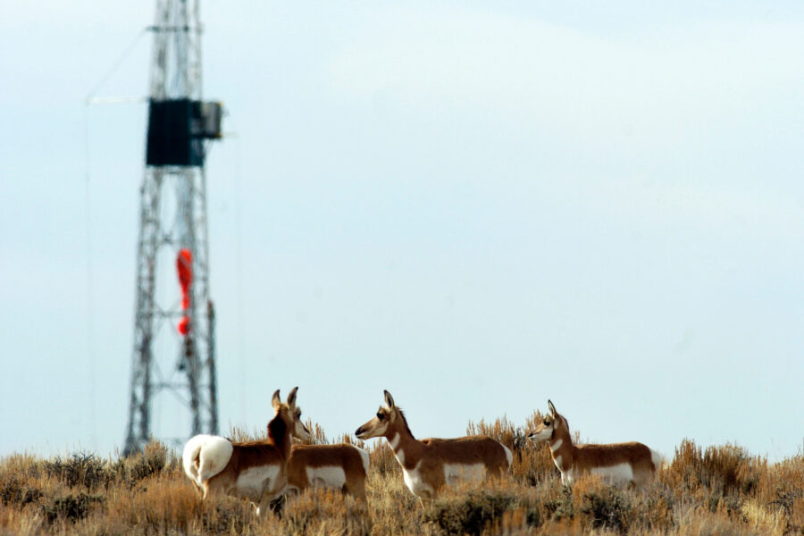 Western Conservationists and Industry Each Tout Wins in a Pair of Rulings From the Same Court