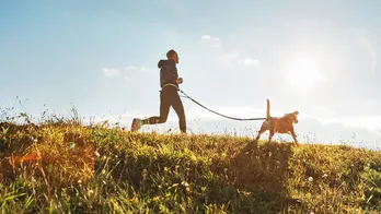 10 dog gear items your dog needs this spring