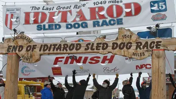 Iconic arch that served as Iditarod finish line collapses in Alaska. Wood rot is likely the culprit