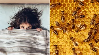 North Carolina child says she hears 'monsters' in the wall, turns out to be 50K buzzing bees