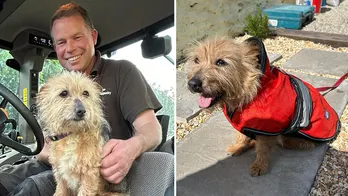 Local firefighter adopts dog after rescuing it from deceased owner's home: ‘Jumped into my arms’