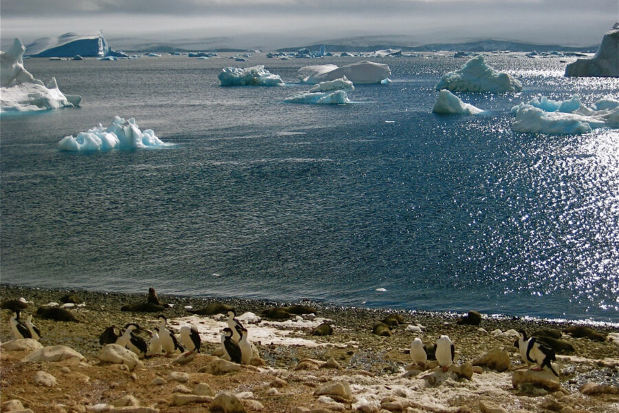 In Two New Studies, Scientists See Signs of Fundamental Climate Shifts in Antarctica