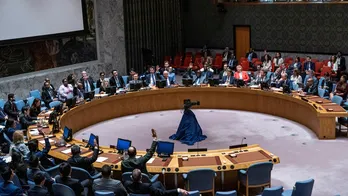 5 countries elected to serve term on UN Security Council