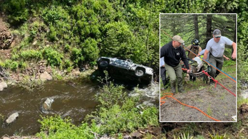 Loyal dog saves camper's life after running miles for help: 'No words'