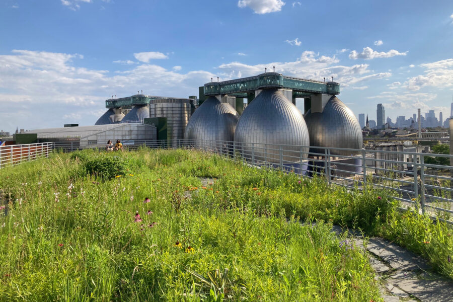 Keeping Stormwater at Bay: a Brooklyn Green Roof Offers a Look at a Climate Resilient Future